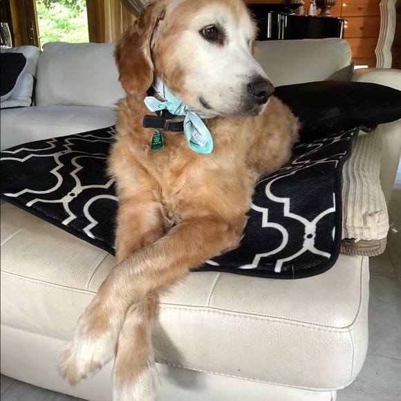 Meet your Posher, Monica - Picture 6 of 7